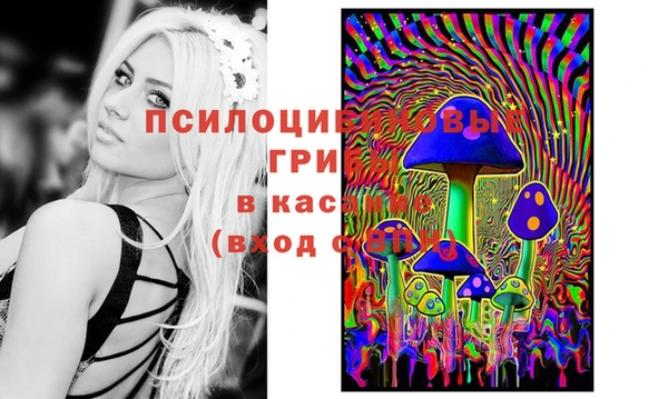 2c-b Аркадак